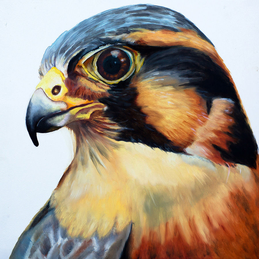 Ward painting